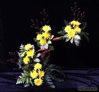 插花藝術(shù)欣賞之菊花篇(組圖)