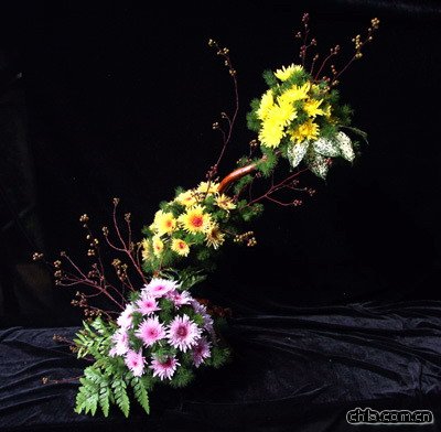 插花藝術欣賞之菊花篇(組圖)