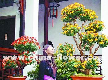 K݈@־ջuչ_Ļ