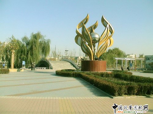 許昌市園林綠化局局長王曼麗發言(圖)