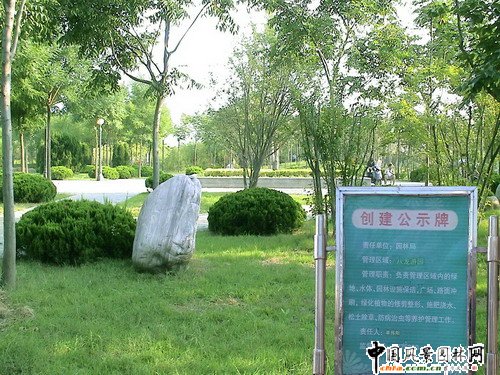 許昌市園林綠化局局長王曼麗發言(圖)