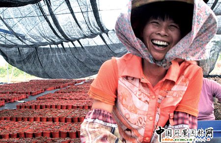 IPMֲչ 3캞2.6|