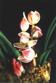 ۺ2005_Ʒ