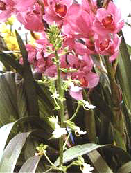 rmڴޥmǰ@÷ǳ