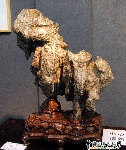 東湖公園奇石展(組圖)
