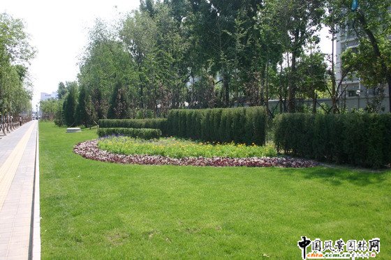 2008社會精品工程之北京清華東路道路綠化工程