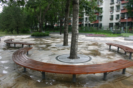 清華東路道路綠化工程逸趣廣場(chǎng)