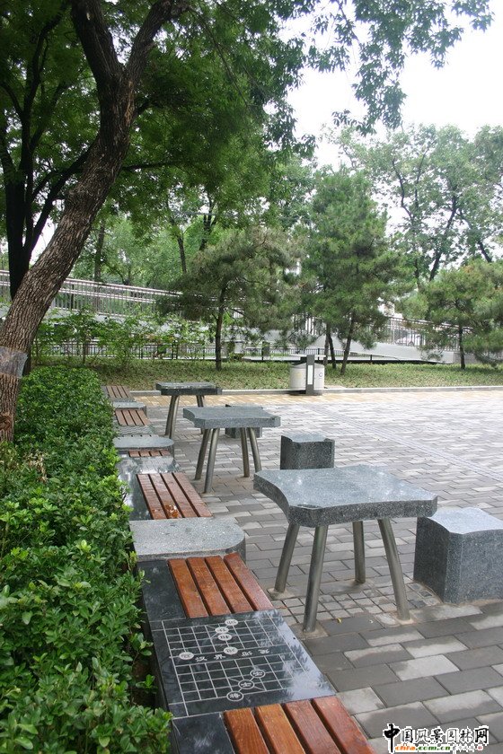 清華東路道路綠化工程棋牌廣場