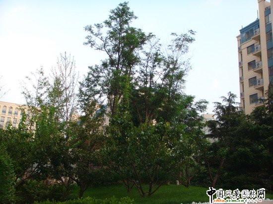 2008|֮ɇH@H^@־^