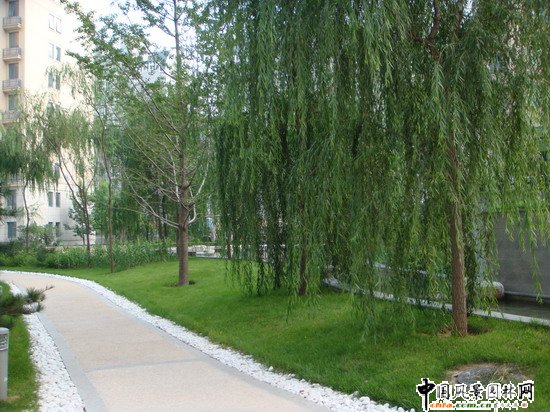 2008(hu)(yu)|(zh)֮(l)ɇ(gu)H@H^(q)@־^