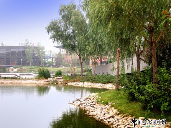 龍灣別墅商業街景觀工程5#樓遠景