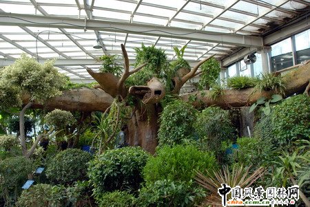 石家莊植物園熱帶溫室??空中花園