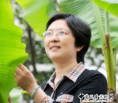 武漢法雅園林集團董事長魯平