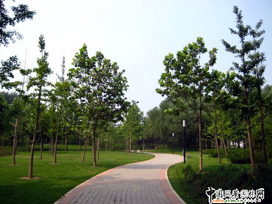2008社會優質工程之五棵松文化體育中心外側代征地景觀