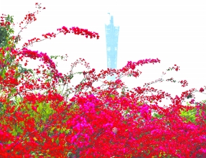 tĺ{N`Rh̎ǸƵҕ