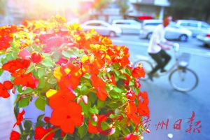 С·o(h)ڔ[Mr