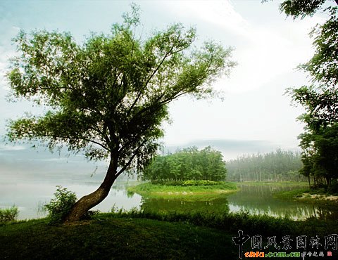 Wƥɭֹ@-﹫@u