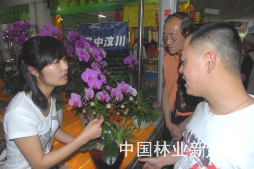 D黨ľI(y)TBa(chn)Ʒ
