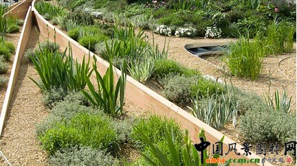 2009年切爾西花展最佳創意獎??香水園(組圖)