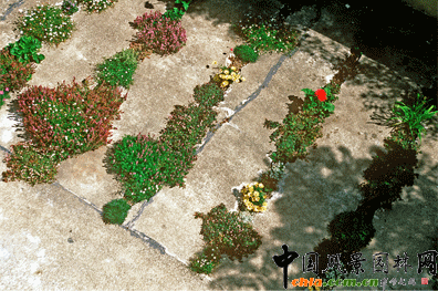 2009ASLA居住區設計類榮譽獎:裂縫花園