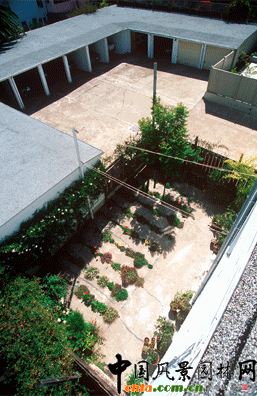 2009ASLA居住區設計類榮譽獎：裂縫花園
