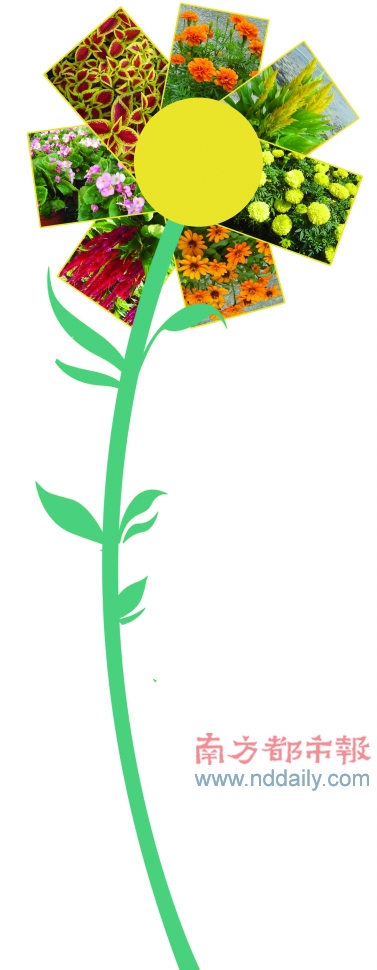 V|\rMɵĻȾ^·ݾ
