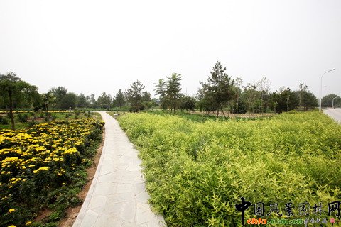 北京市最大的郊野公園??綠堤公園