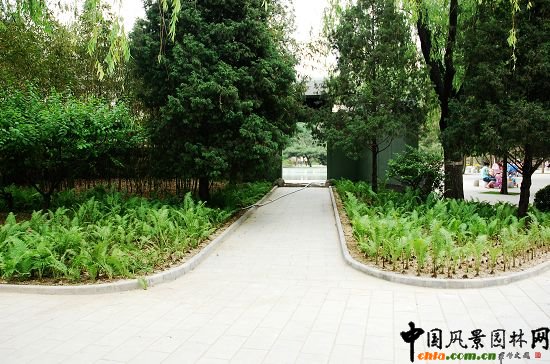 茶舍北側綠地
