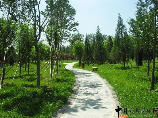 林間小路