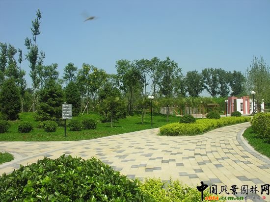蜻蜓游園