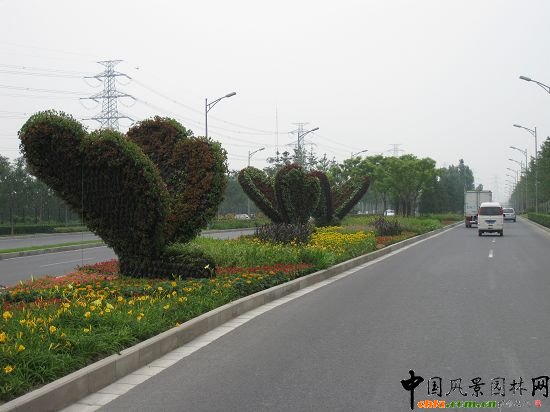 花壇造型
