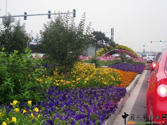 花海