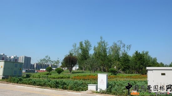 林翠橋