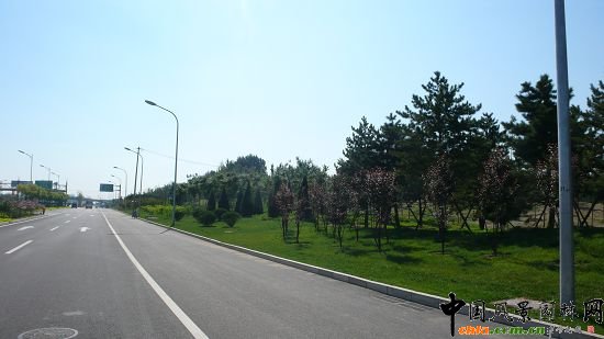 綠不斷線