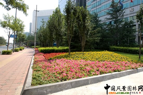 船級社綠地