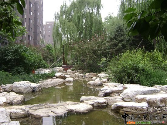 園區(qū)中的水系和近水植物配置