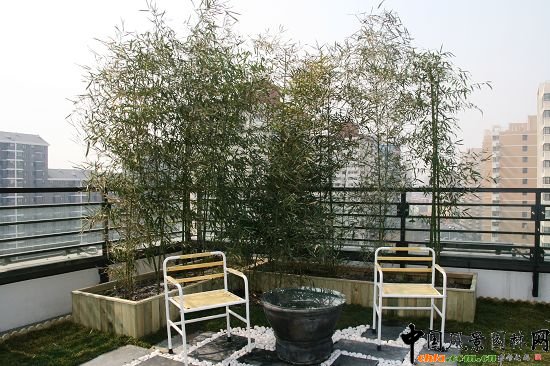 奧運村屋頂綠化--2009年北京市優質工程