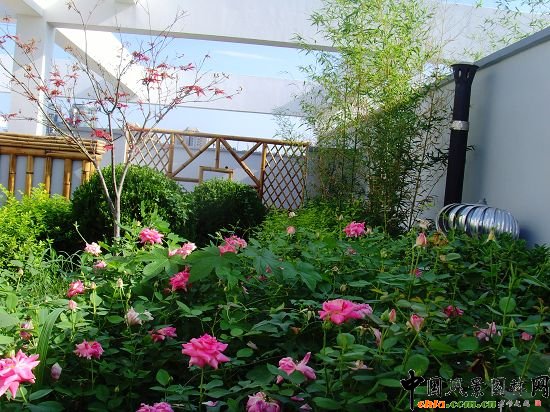 奧運村屋頂綠化--2009年北京市優質工程