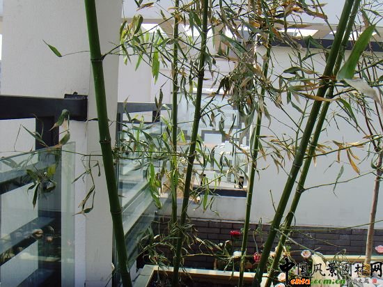 奧運村屋頂綠化--2009年北京市優質工程