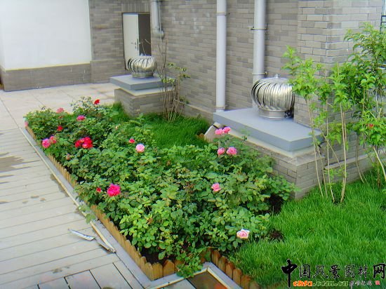 奧運村屋頂綠化--2009年北京市優質工程