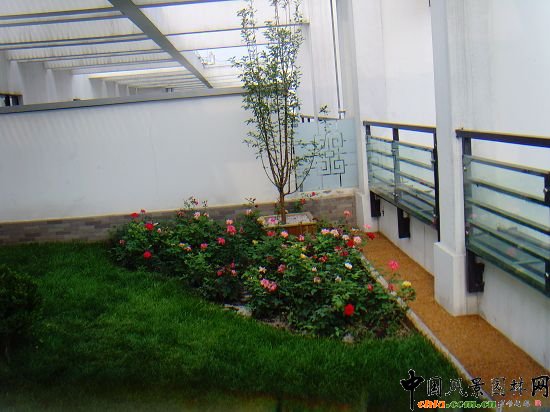 奧運村屋頂綠化--2009年北京市優質工程