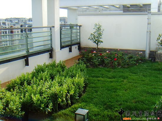 奧運村屋頂綠化--2009年北京市優質工程