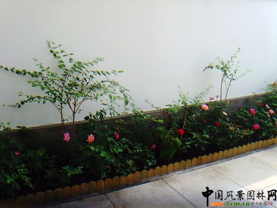 奧運村屋頂綠化--2009年北京市優質工程