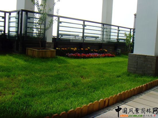 奧運村屋頂綠化--2009年北京市優質工程