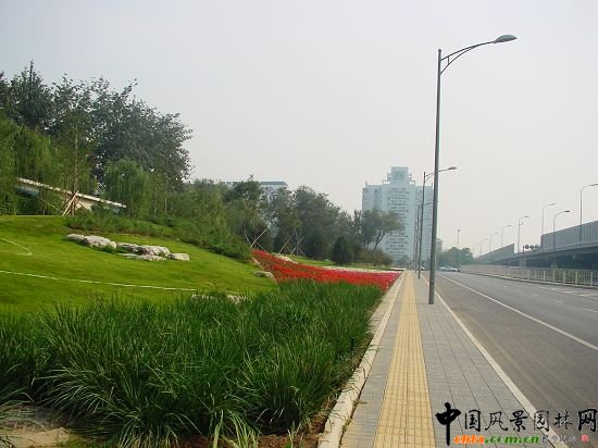 綠地結(jié)合地形、置石栽植花卉