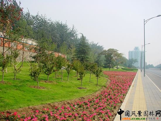 飄帶模紋、宿根花卉、與周邊的喬灌木構(gòu)成了花壇的豐富層次