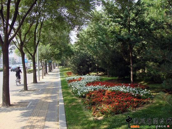 西二環示范段道路綠化整治工程