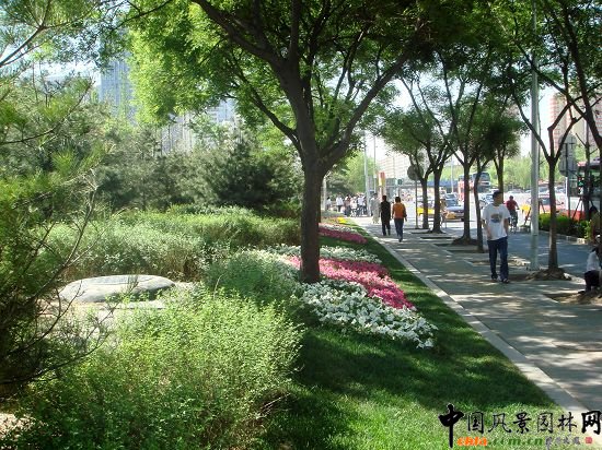西二環示范段道路綠化整治工程