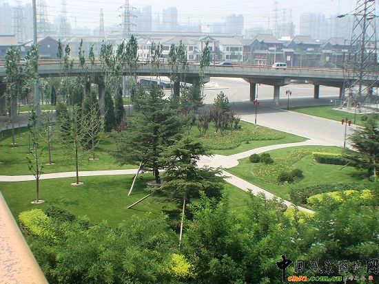 俯瞰綠地