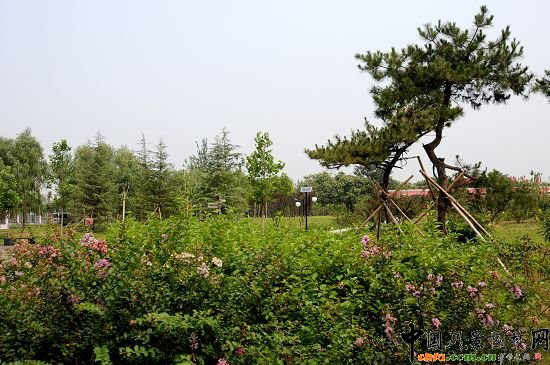 入口一隅
